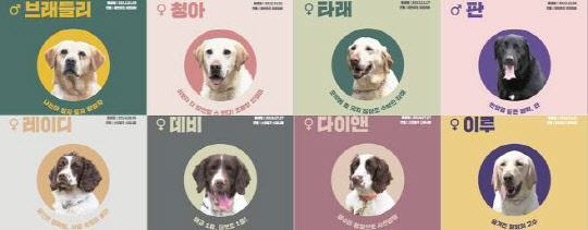 마약탐지견 민간분양(사진=관세청)